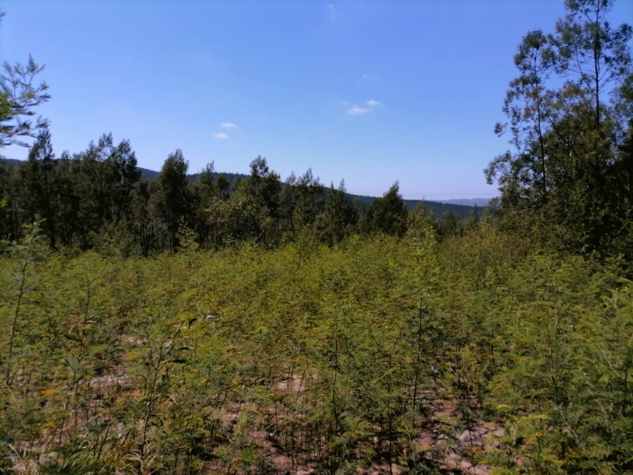 0 Bedroom Property for Sale in Sedgefield Central Western Cape